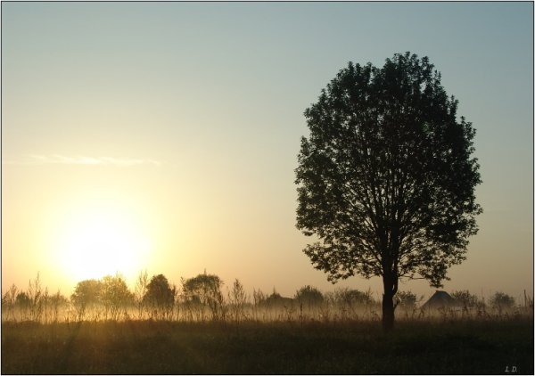 Бежин луг утро зачиналось