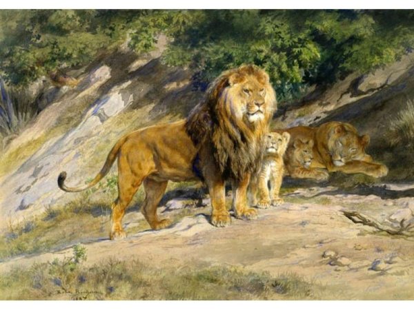 Художник Simon Combes