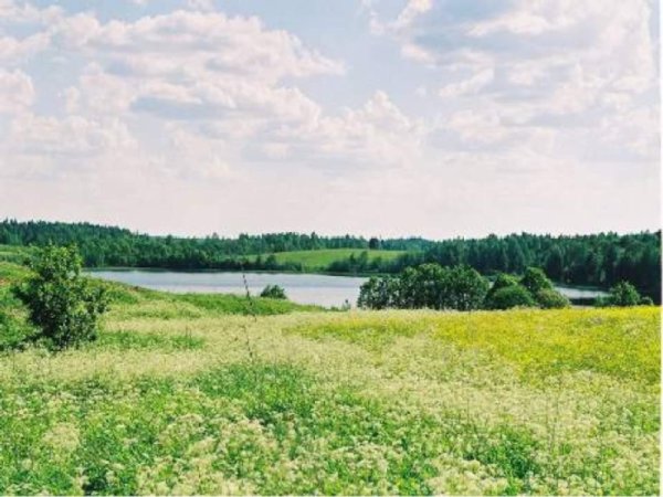 Бежин луг июльский день