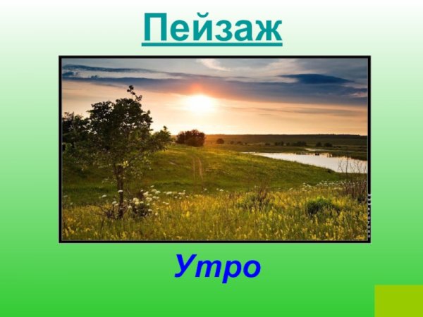 Луг описание природы