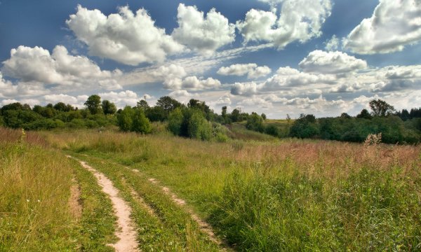 Описание пейзажа ночи Бежин луг