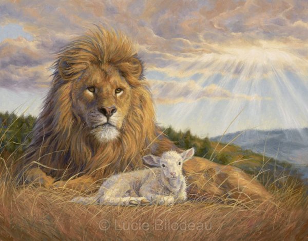 Картина Африканский Лев