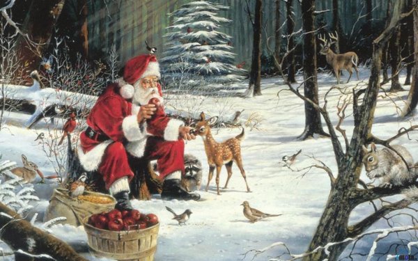 Дед Мороз в лесу