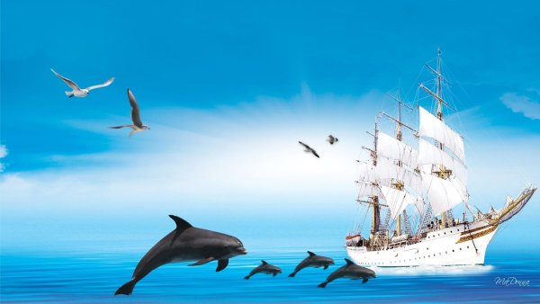 Над волнами Чайки кружат физминутка