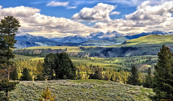 Долина Jalapa Valley