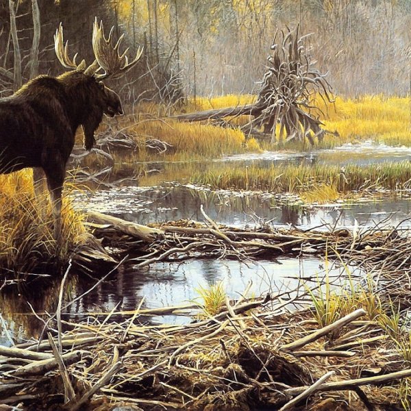 Анималистическая живопись Роберта Бейтмена