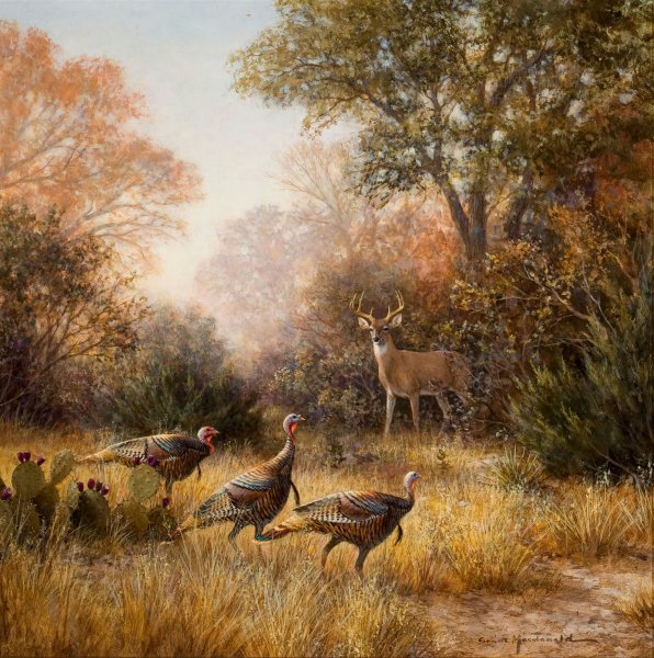 Охотничьи пейзажи