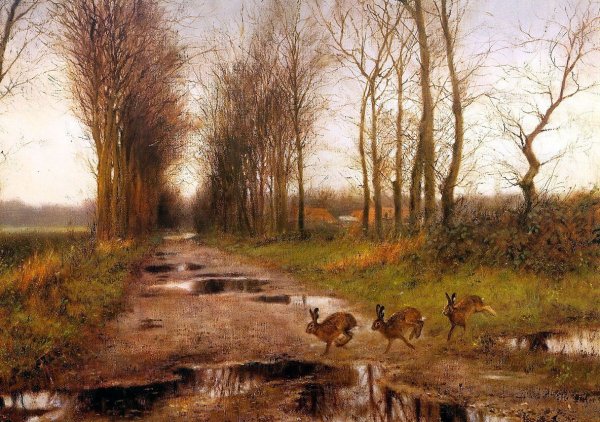 Сохатый Лось Байкал