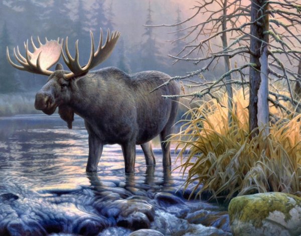 Охота на кабана живопись