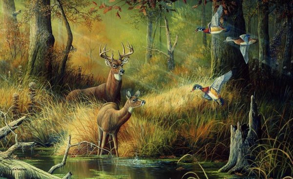 Природа и охота