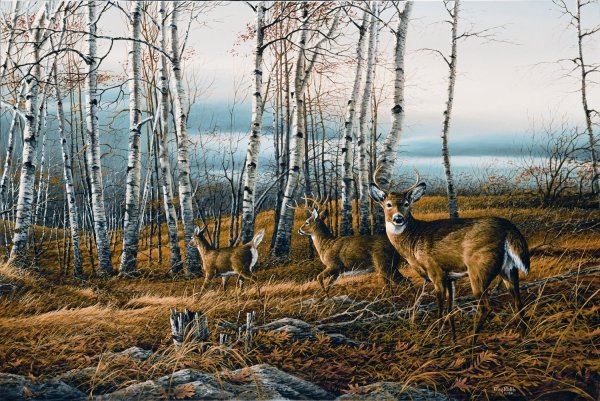 Живопись природа