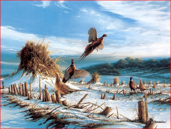 Анималист Тихменев картины