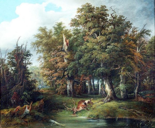 Охотничьи пейзажи