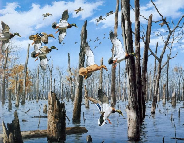 Художник пейзажист Мельников