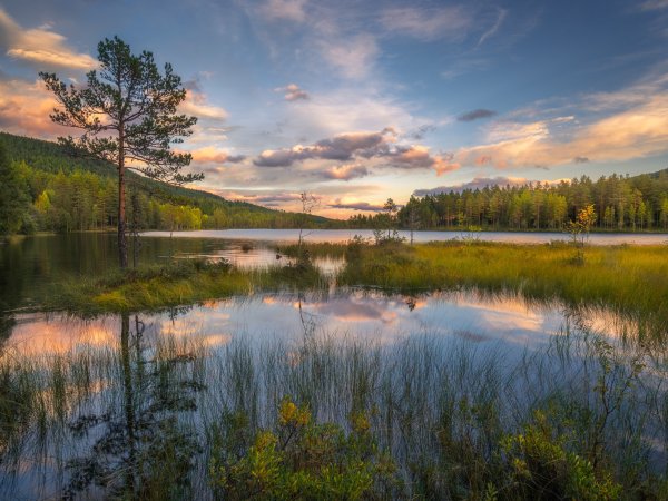 Пейзаж озеро