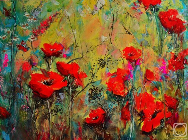 Маковое поле Щербакова хуж