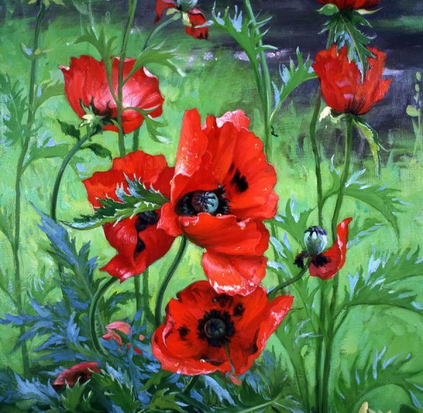 Картина "маки" художника Тюриховой Натальи