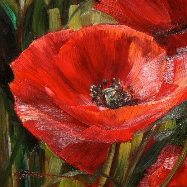 Букет маков мастихин Виталий Ткаченко