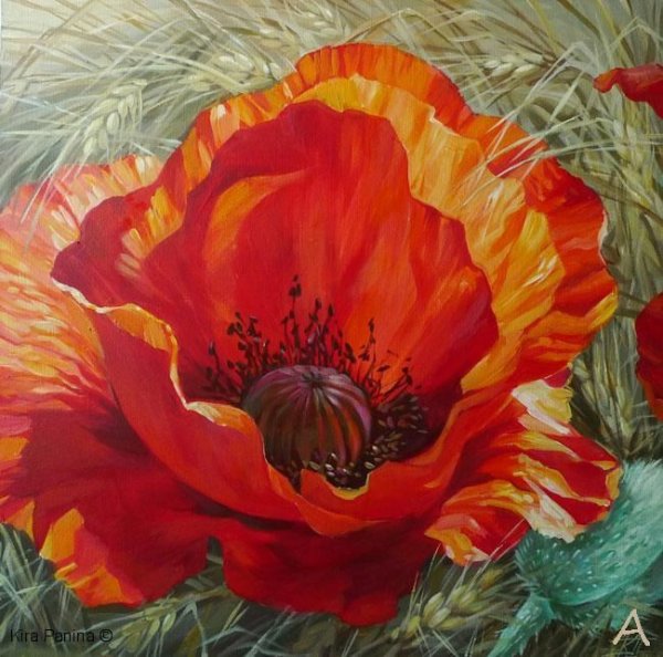 Мак акрилом