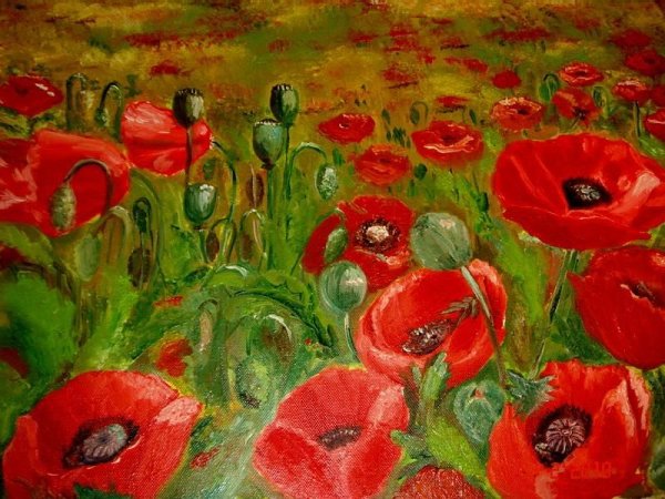 Зеренков маки