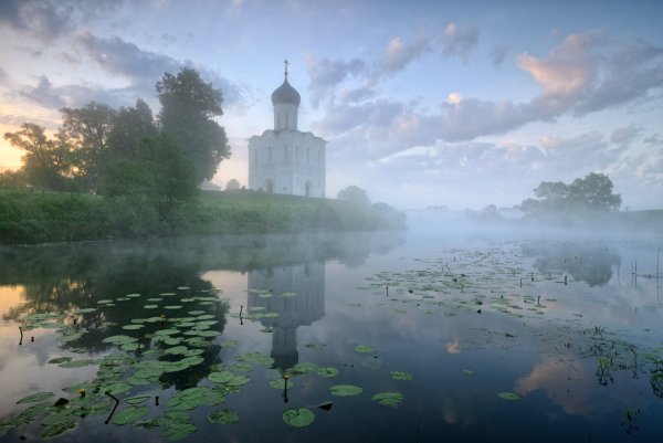 Храм Покрова на Нерли пейзаж