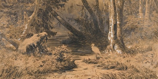 Шишкин болото Полесье