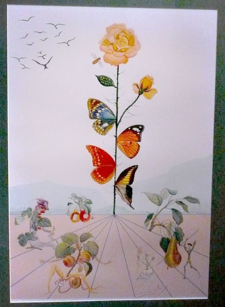 Salvador Dali Butterfly