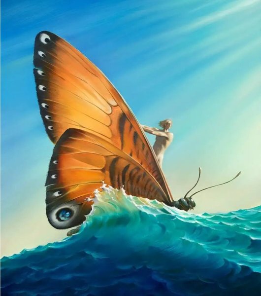 Владимир куш картины бабочка