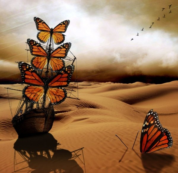 Бабочки сюрреализм Владимир куш