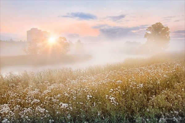 Художник Романов Роман (1966 г.р.)