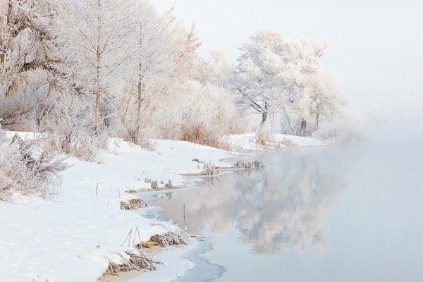 Туманное озеро