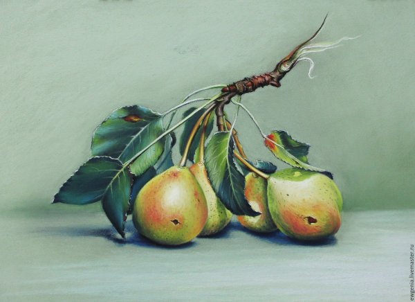 Натюрморт пастелью