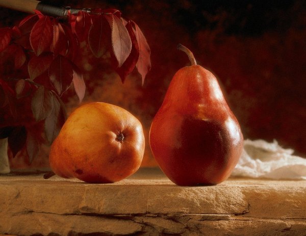 Фрукты на драпировке