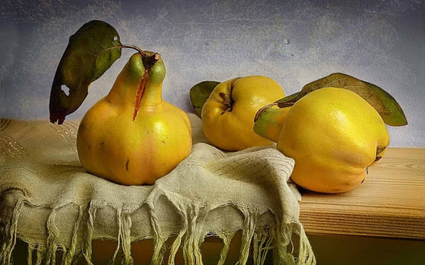 Натюрморт с грушами