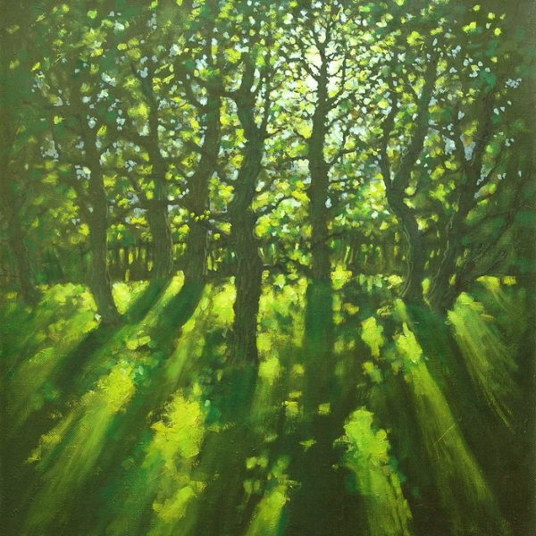 Художник Полуэктов Владимир Михайлович