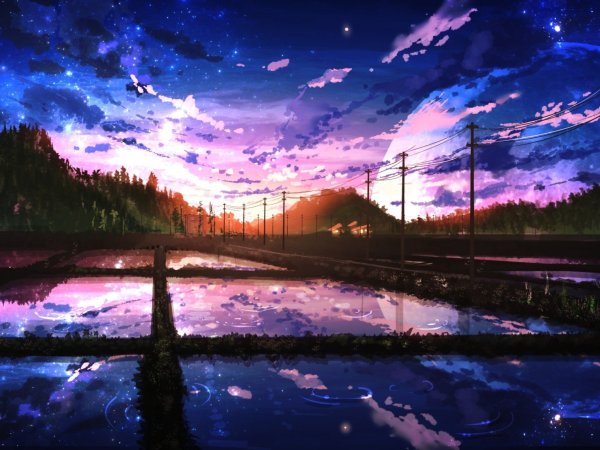 Аниме Макото Синкая ночь