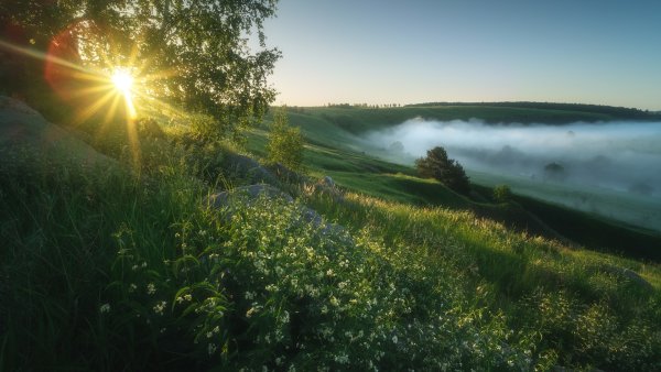 Солнечный пейзаж
