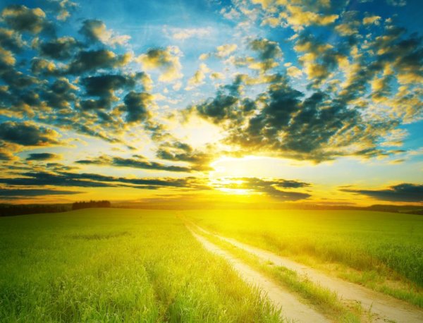 Рассвет летом