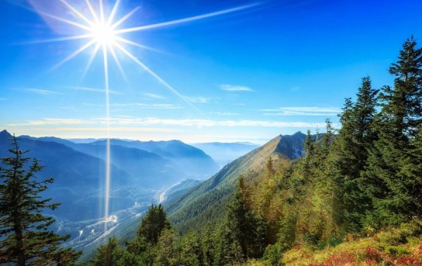 Природа река береза солнце