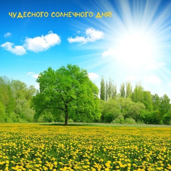 Природа солнце