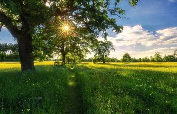 Красивый рассвет