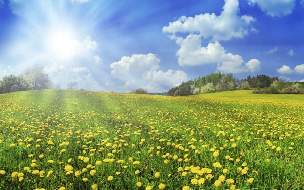 Природа деревня