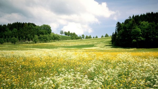 Солнце пейзаж