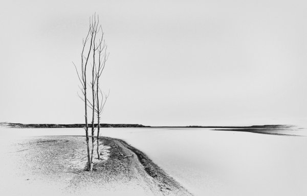 Черно белая зима