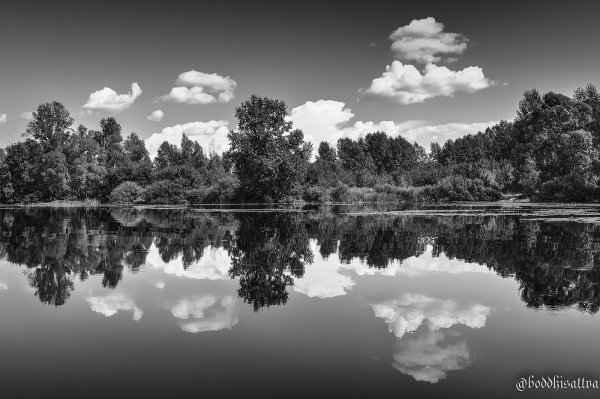 Зарисовки зимы