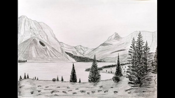 Горы и лес рисунок карандашом