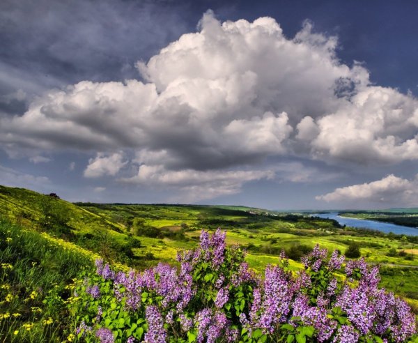 Весенние просторы