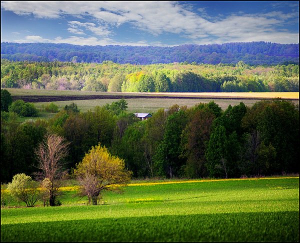 Май пейзажи природы