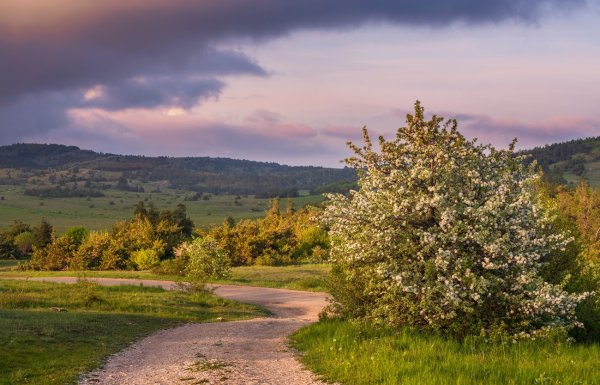 Майские пейзажи фото на рабочий стол