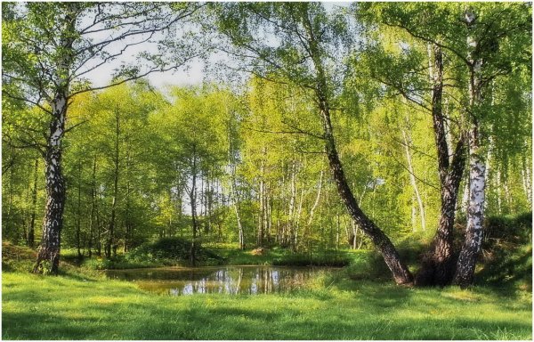 Май природа